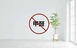 芜湖除甲醛|芜湖甲醛检测空气净化提供工装甲醛治理服务